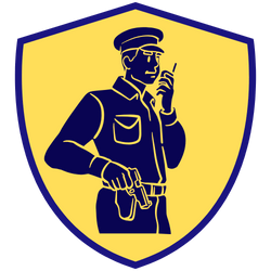 Armed PSO Services in Lucknow